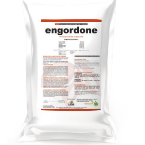 Engordone