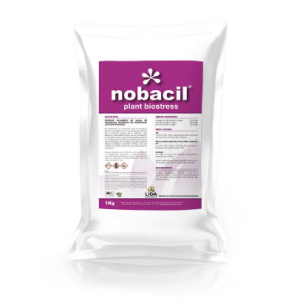 Nobacil