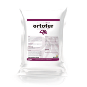 Ortofer