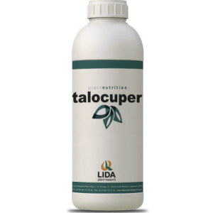 Talocuper
